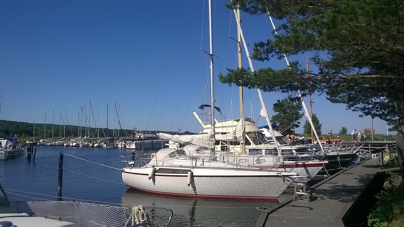 Segelbåt förtöjd vid bryggan i en småbåtshamn en solig sommardag