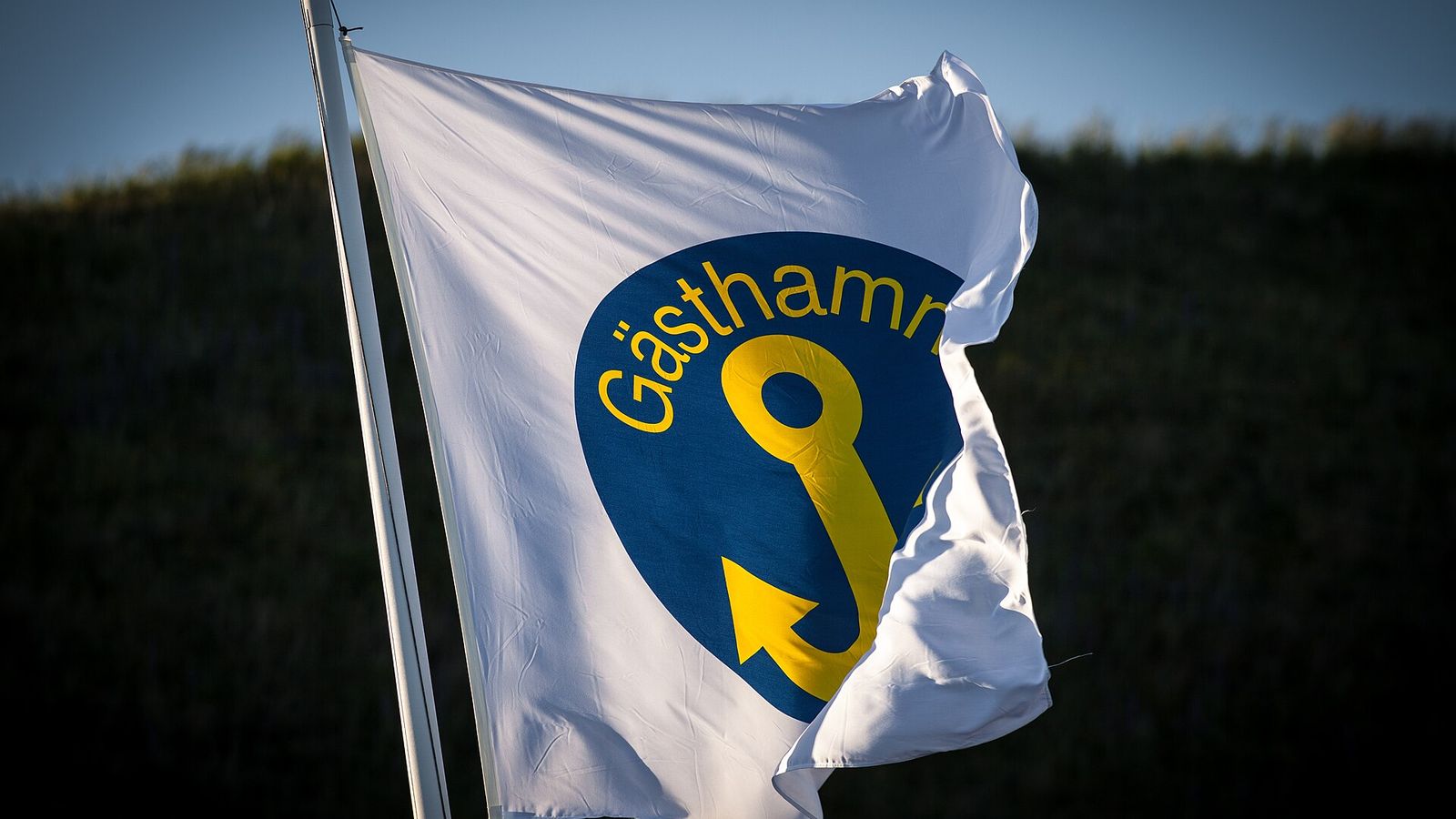 Vit gästhamnsflagga med gult ankare som vajar i vinden
